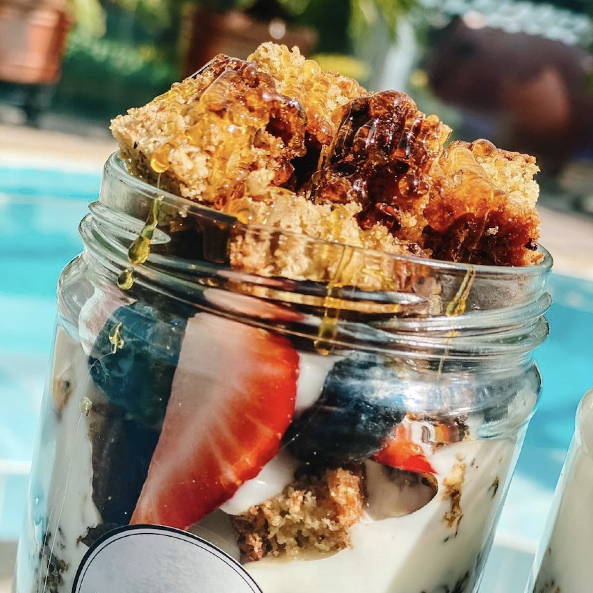 Blondie Parfait | 0% Sugar, Greek Yogurt Protein & Natural Granola